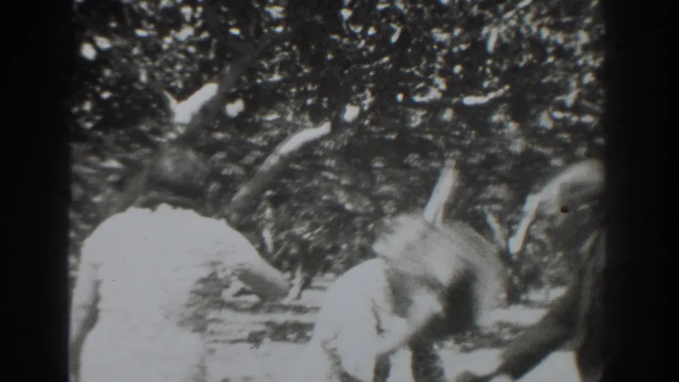 Black-and-white 1937 Vacaville frame with adults near leafy trees, one figure bent forward in the sun.
