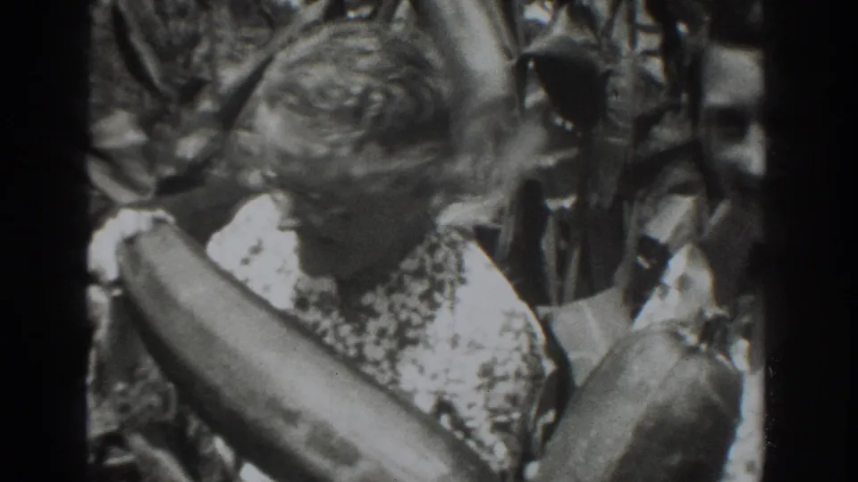 Older woman in a Vacaville garden, circa 1937, holding a very large vegetable while standing in bright sunlight.