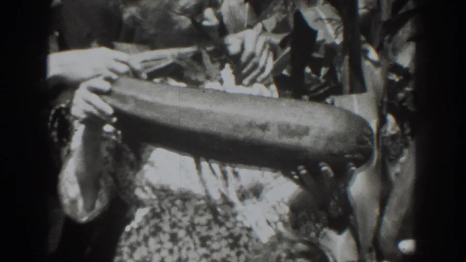 Close garden view of hands displaying a large elongated vegetable, with the older woman partly visible in 1937 Vacaville footage.