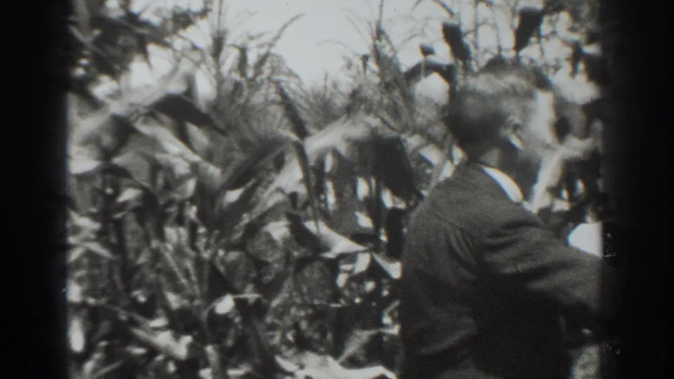 A suited man is seen from behind near tall corn-like plants and harvested produce in the 1937 Vacaville home movie.