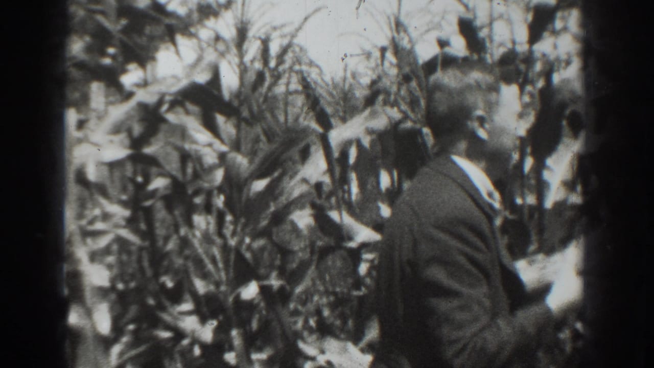 Suited man standing among tall crop stalks in a dense field.