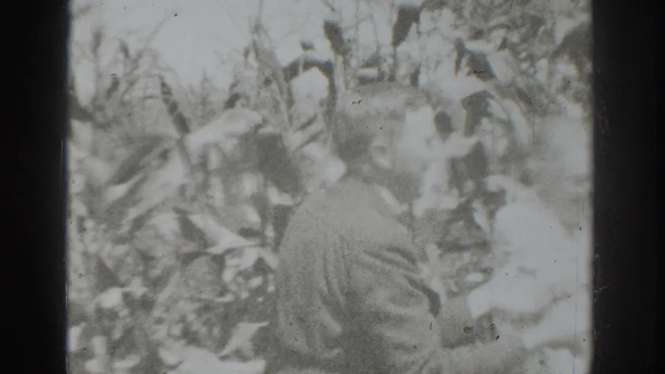The 1937 home-movie frame shows the suited man from behind, partly blurred by motion and bright exposure in the crop rows.