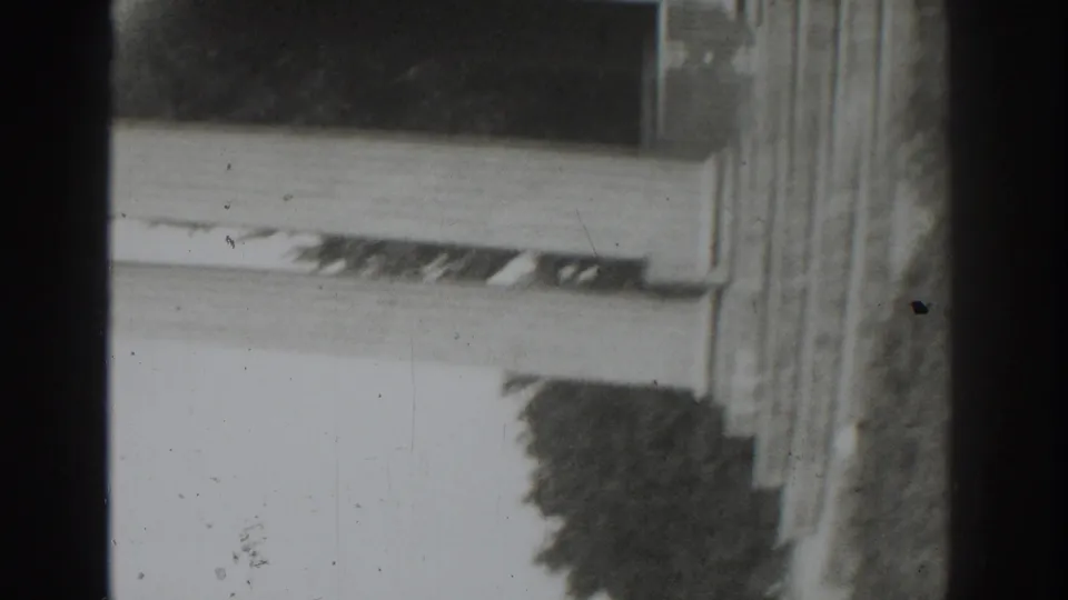 The final frame shifts to an overexposed field-edge view with vegetation and a vertical structure at the right side.