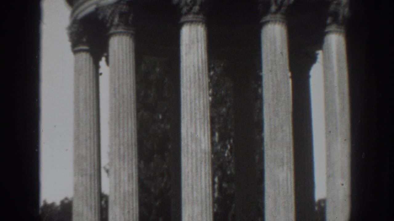 Close view of tall fluted columns with decorative capitals and dark tree shadows behind them.