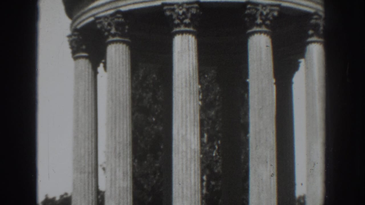 Close view of fluted columns with ornate capitals beside trees.