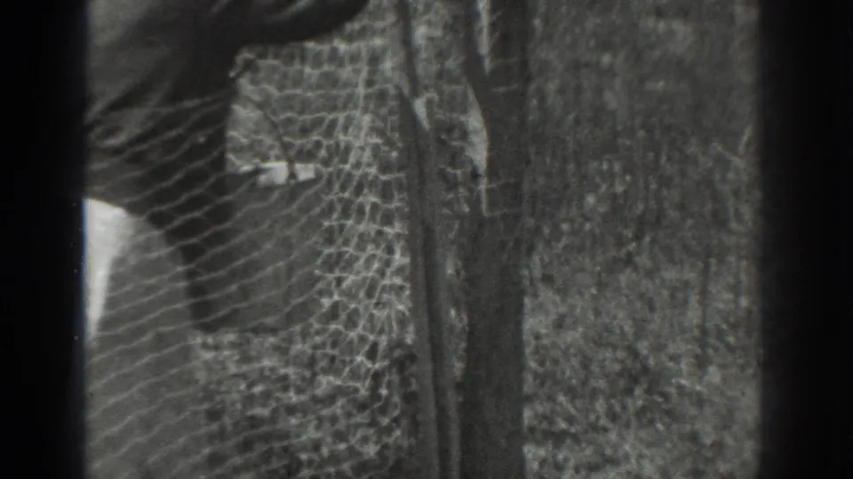 Close 8mm view of chicken wire stretched beside a weathered wooden post in an outdoor Vacaville scene from 1937.