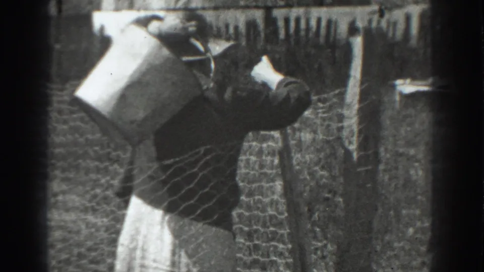 The woman leans beside the chicken wire fence with a metal bucket visible, apparently adjusting or working near the mesh.