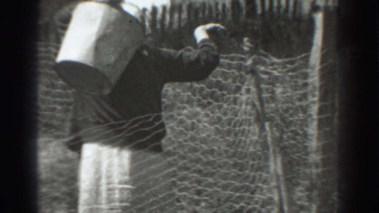 In 1937 Vacaville footage, a woman in a dark dress and light apron carries a metal bucket along a wire fence.