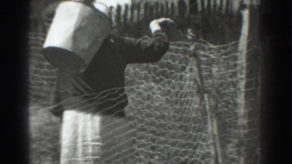 In 1937 Vacaville footage, a woman in a dark dress and light apron carries a metal bucket along a wire fence.