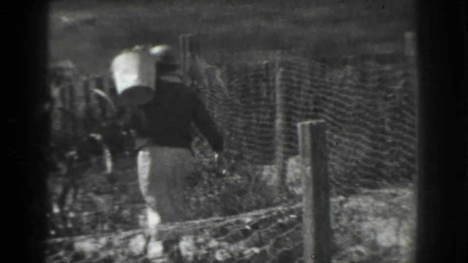 The woman moves farther along the fence in the Vacaville rural scene, with brush and posts visible around her.