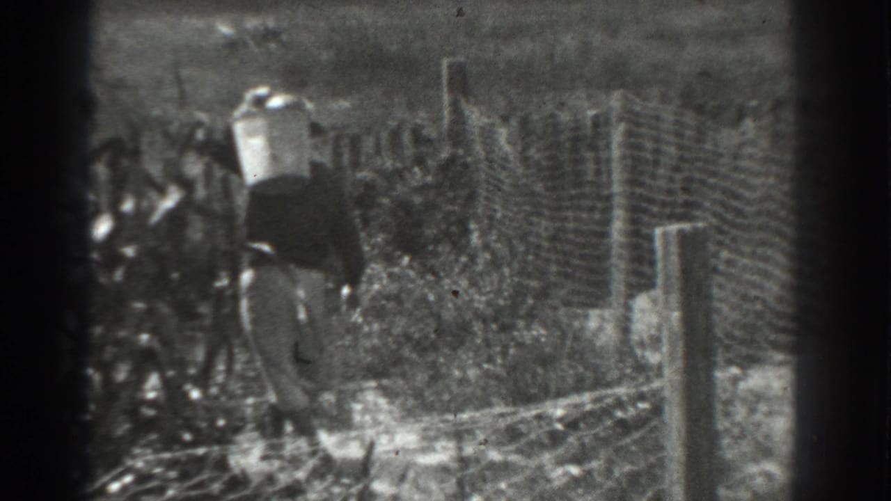 Woman in a long skirt carries a light bucket beside a wire fence and field plants.