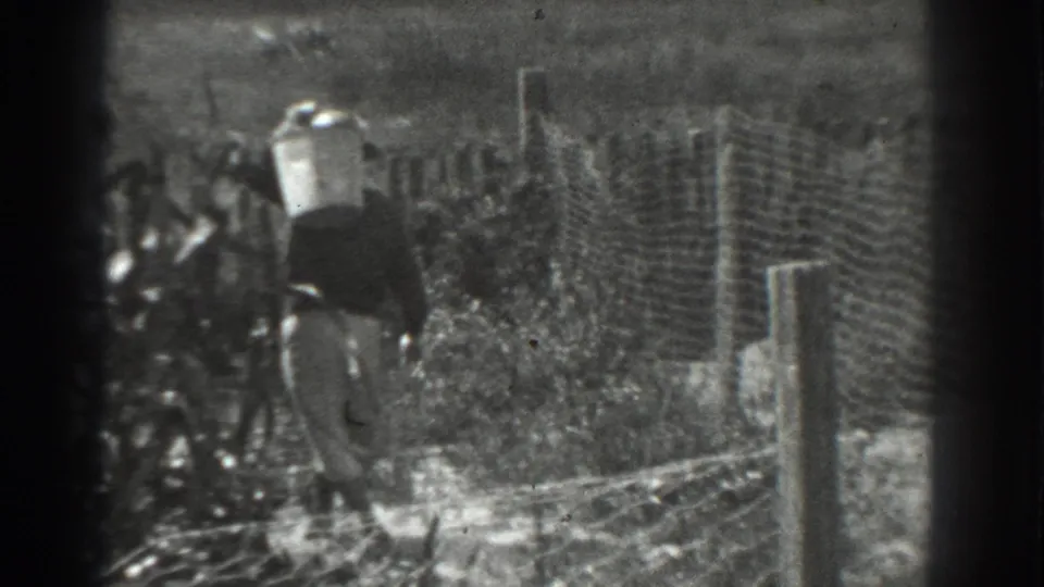In 1937 Vacaville home-movie footage, a woman walks near a wire fence carrying a light bucket through a rural field.