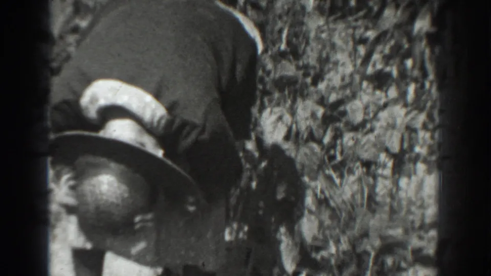 The woman appears partly bent or turning beside tall crop stalks, her wide-brimmed hat prominent in the 1937 field footage.