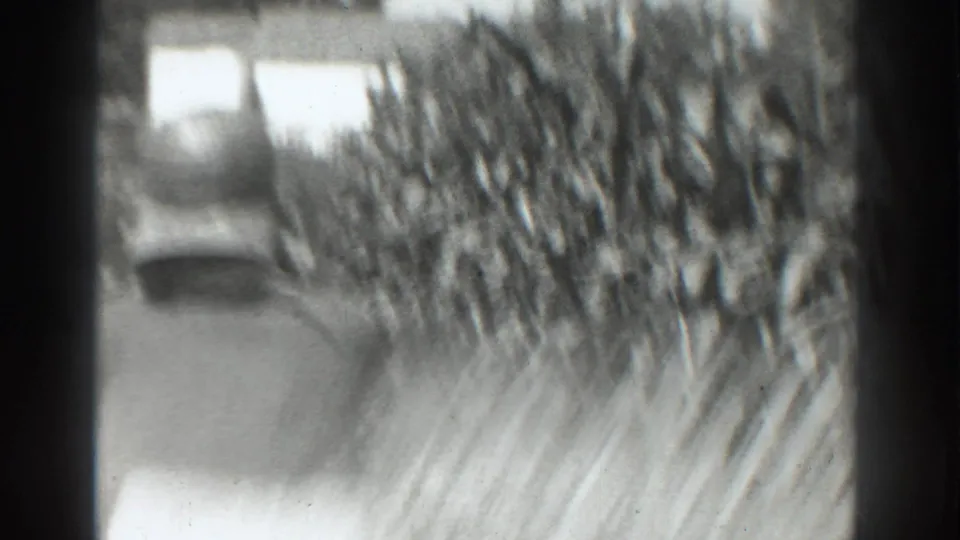A soft, blurred final frame shows the worker near tall rows, with a pale structure or vehicle-like shape in the distance.