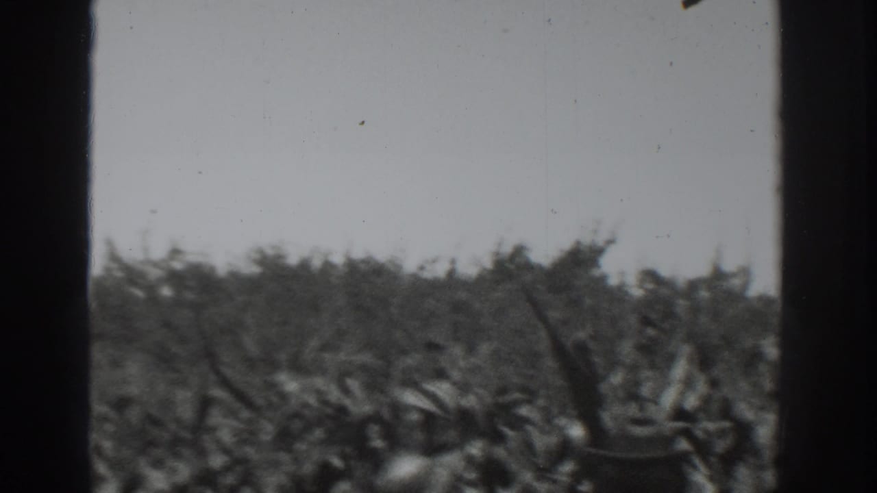 1937 Vacaville home-movie frame looking across a dense crop field beneath an open sky, with dark film borders and visible dust.