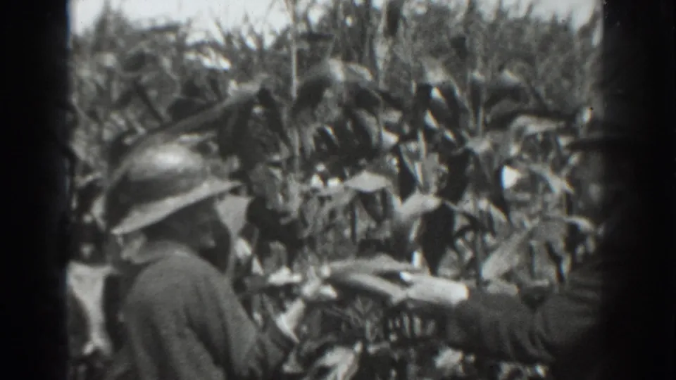 Two men in period work clothing appear to gather crops in a Vacaville cornfield, partly hidden by dense stalks and soft 8mm focus.