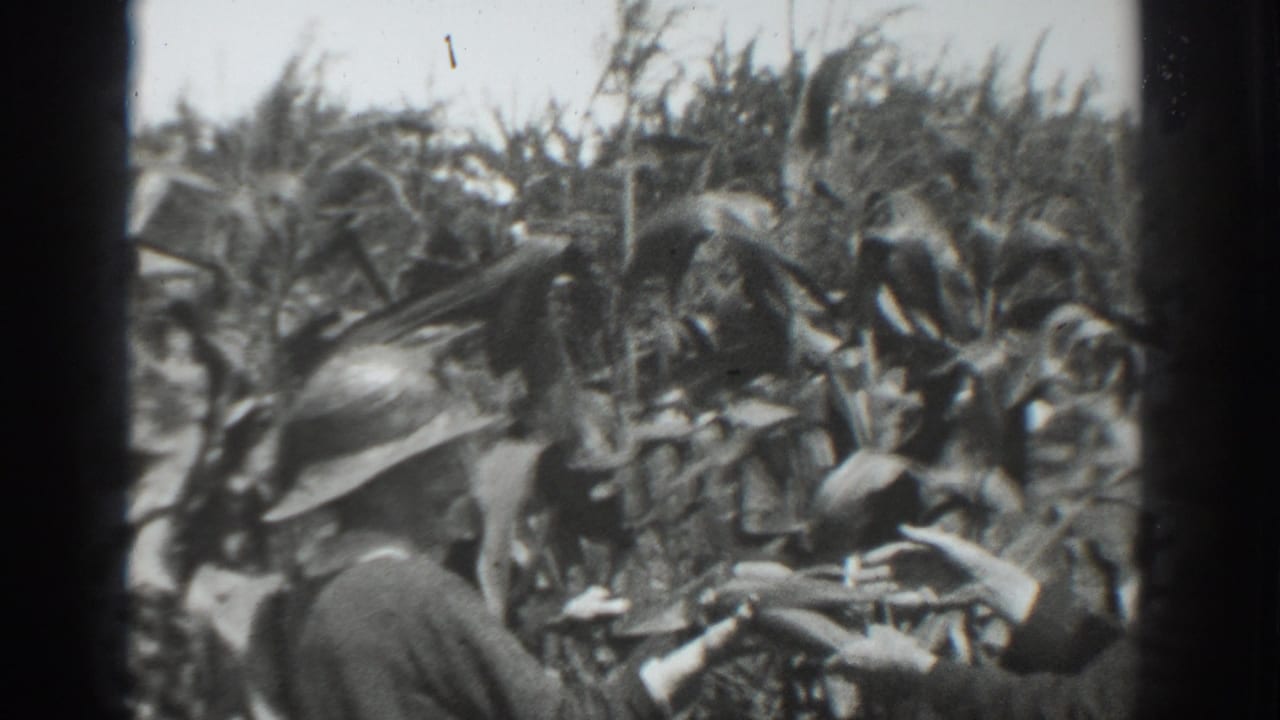 Two women in wide-brimmed hats stand among tall corn stalks.