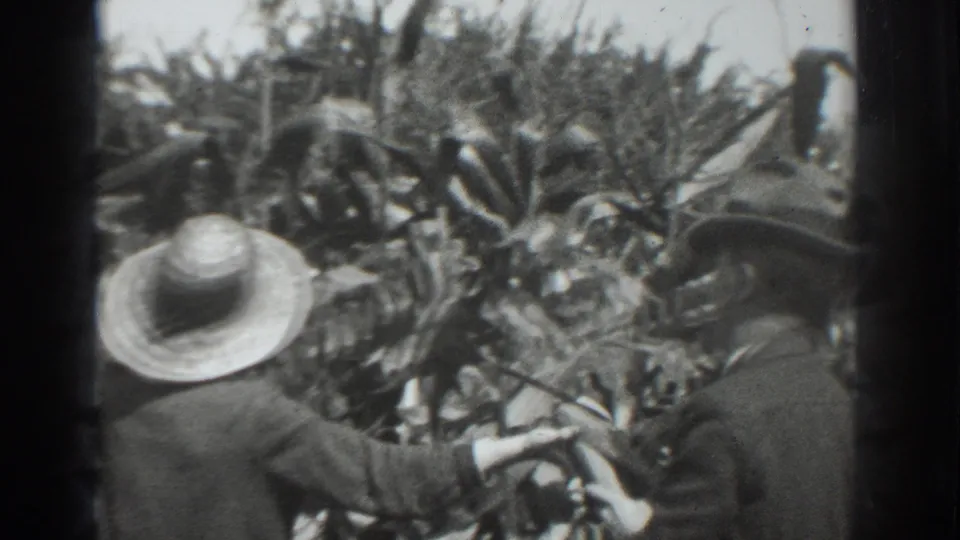 Two women in period hats appear to examine corn plants in the supplied Vacaville, California home-movie scene.