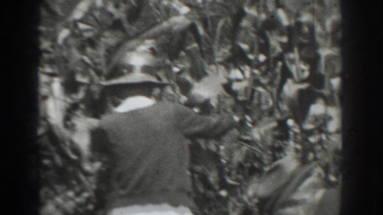 Man in a wide-brimmed hat stands among tall corn stalks.
