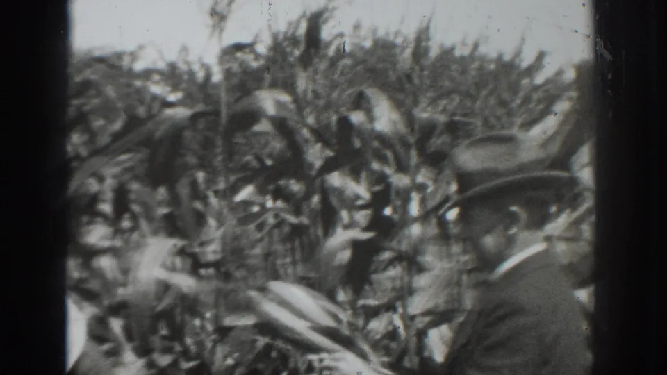 Two adult men in hats are visible within the Vacaville cornfield, one close to camera and another partly hidden by the plants.