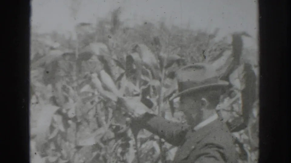 1937 Vacaville 8mm frame showing blurred field vegetation and an unclear dark object or possible figure, with heavy grain and frame-edge shadow.