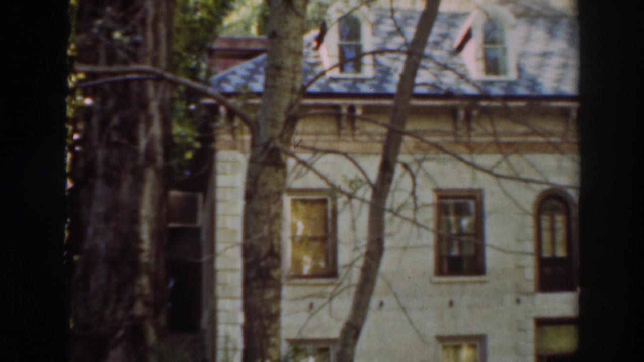 Pale multi-story house partly obscured by tree trunks and branches.