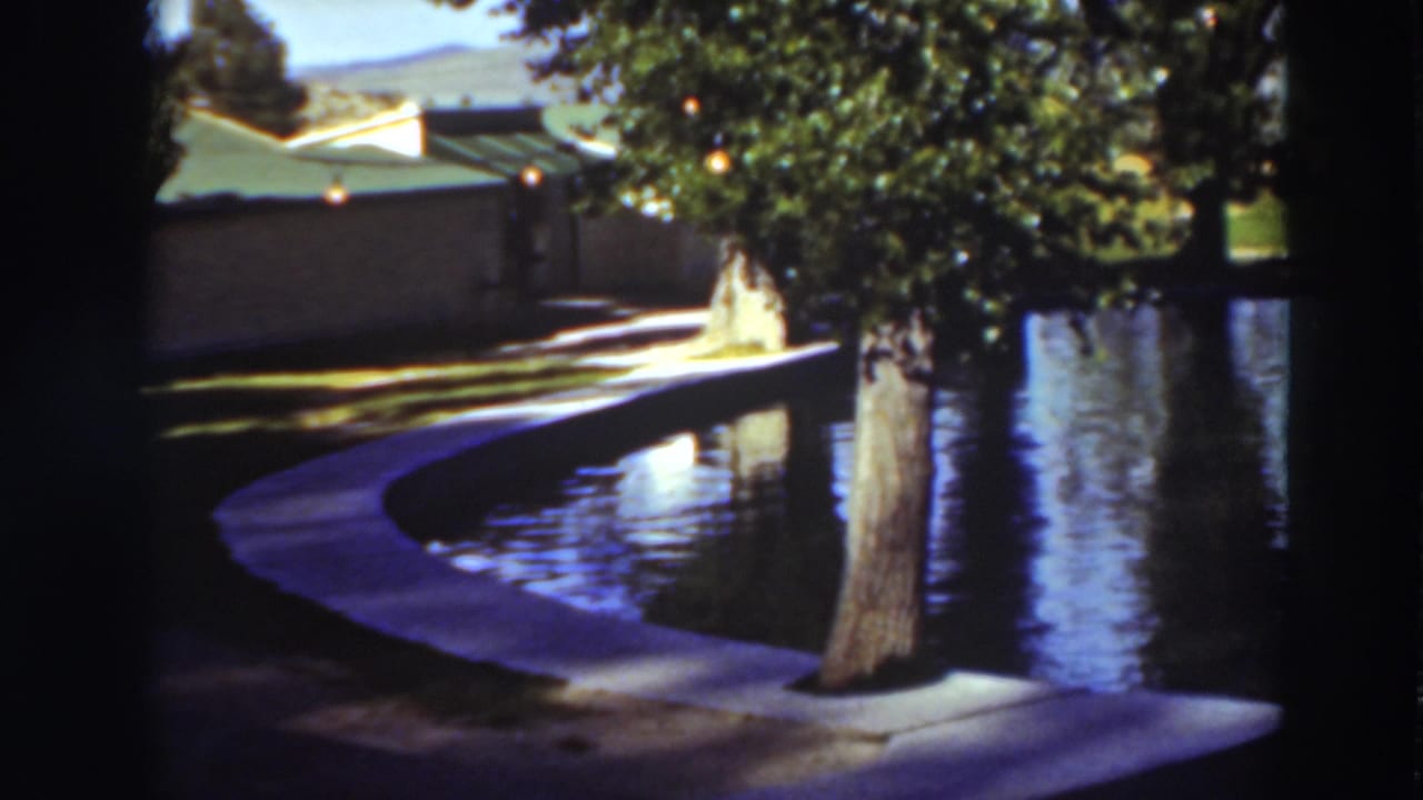 Curved concrete walkway beside a reflective pool with a tree in the foreground.