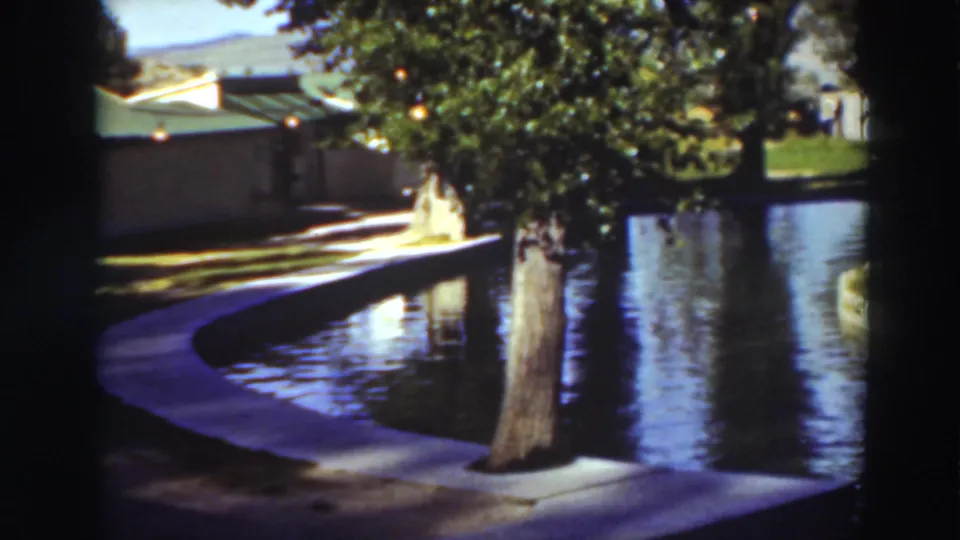 1937 Virginia City, California frame with a calm landscaped pool, tree trunk, green lawn, low building, and hills in bright sun.