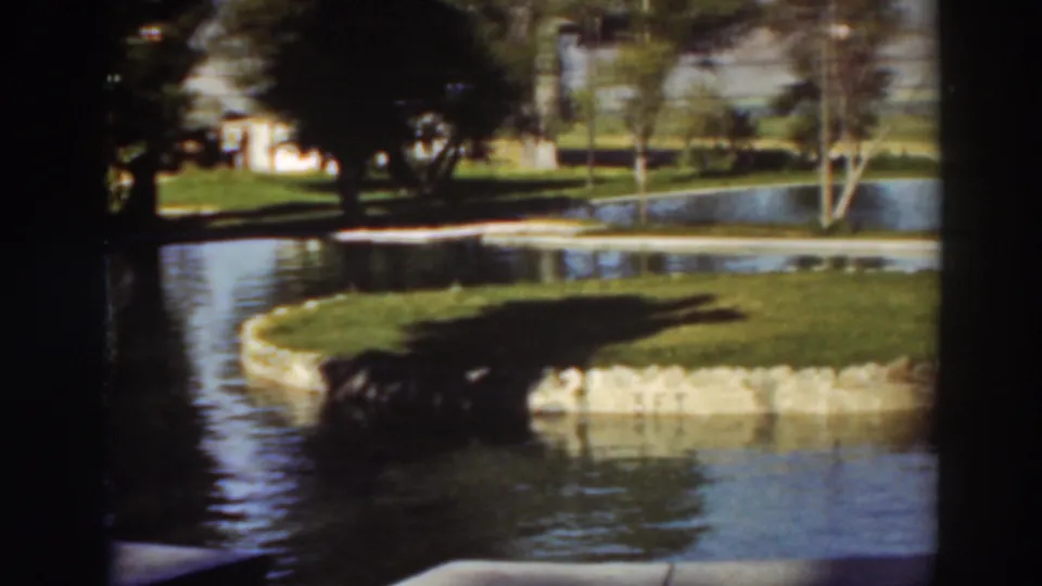 Wide 8mm view of a park pond with a small grassy island, stone edging, tree shadows, and reflective water.