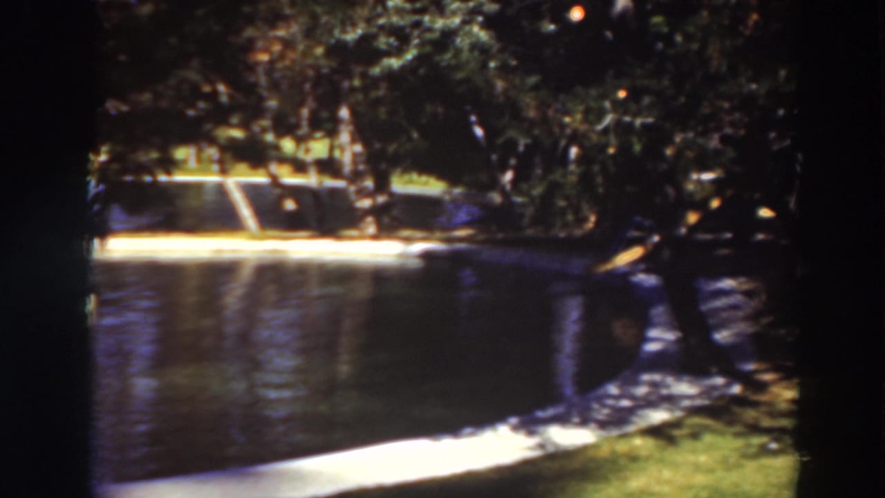 Tree-shaded pond with a curved concrete edge and grassy bank.