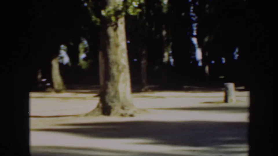 The car is no longer central; tall trees, bright ground, and a small cylindrical post or bin define the park setting.