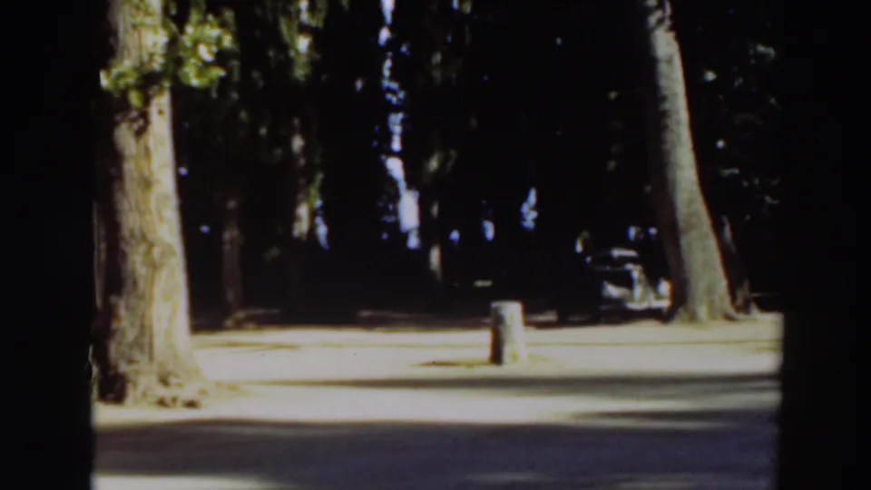 A dark car is visible at the right edge beyond tall trees, with a small cylindrical post or bin near the sunlit road.