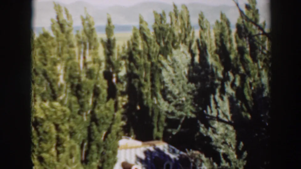 The camera has moved upward, leaving the house mostly low in frame beneath tall trees and pale distant hills.