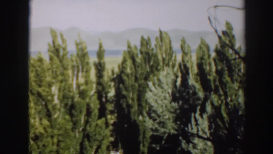 1937 home-movie frame showing treetops, distant mountains, and open land beyond the wooded foreground.