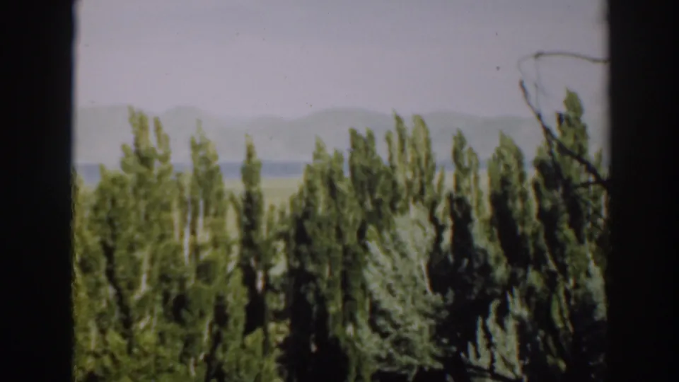 Final frame of the 1937 Virginia City, California view, with trees in front of distant mountains and sunlit land.