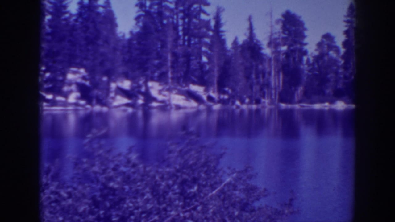 Purple-tinted lake view with pine trees and shoreline rocks.
