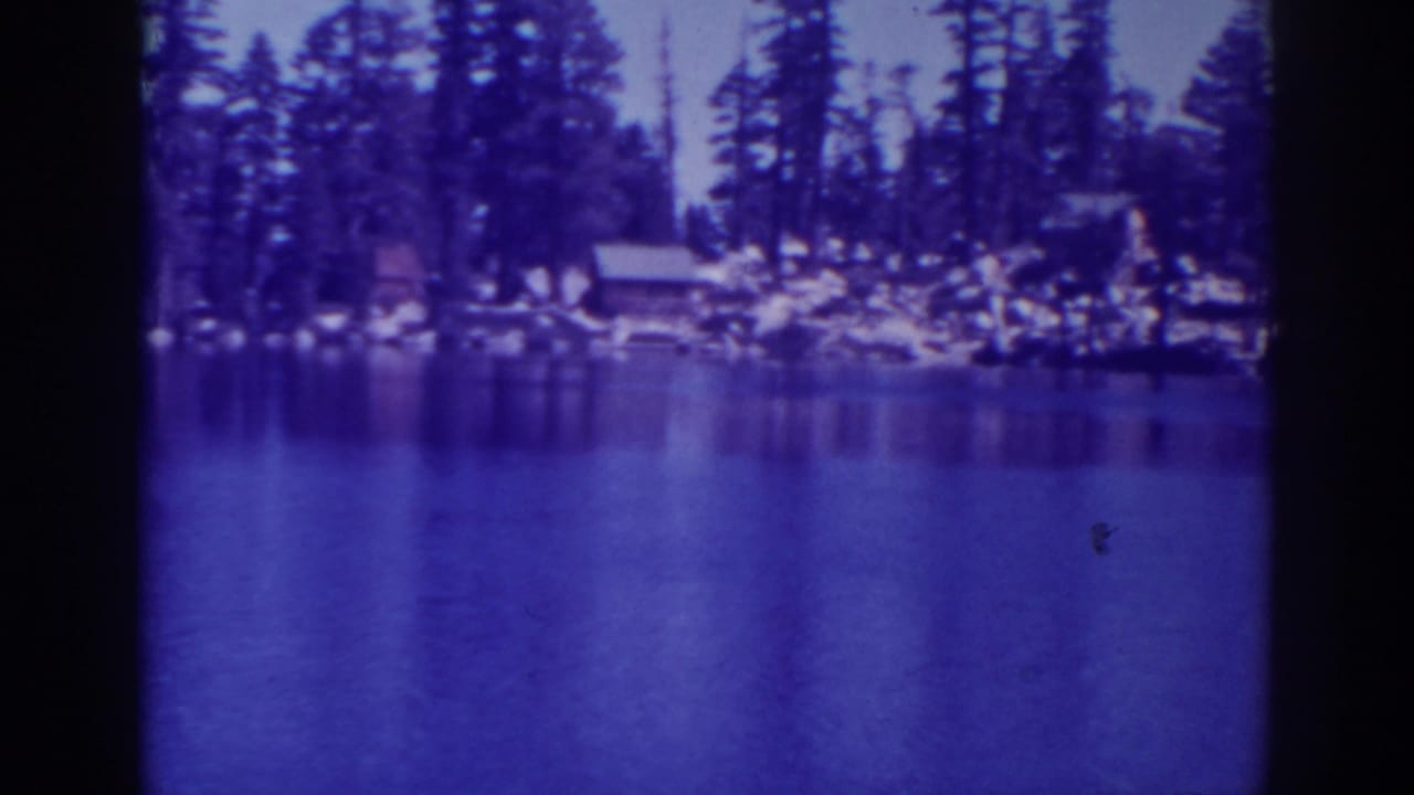 Calm lake with pine trees and cabins along a distant shoreline.