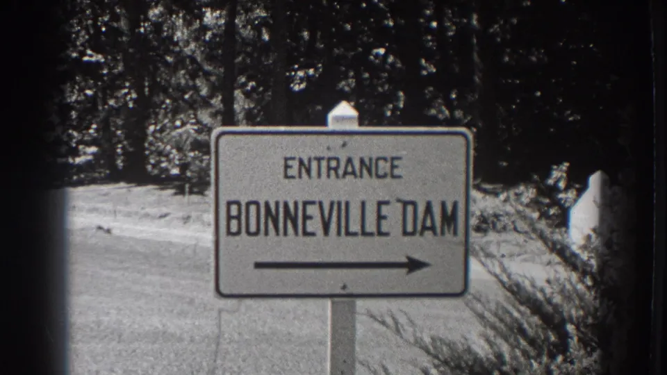 Bonneville Dam entrance sign remains centered against dense trees and a quiet roadside setting in Oregon.