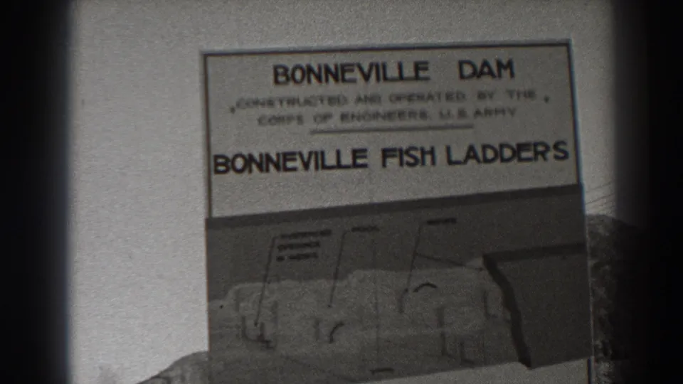 Close view of a Bonneville Dam and Bonneville Fish Ladders sign noting U.S. Army Corps of Engineers operation.