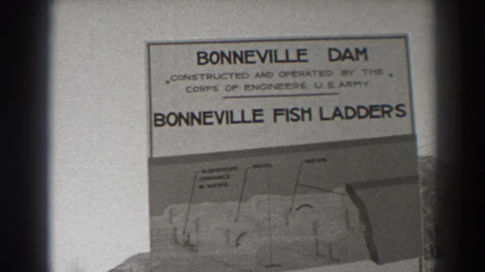 Bonneville Fish Ladders sign at the dam site, with U.S. Army Corps wording and a diagram softened by 8mm focus.