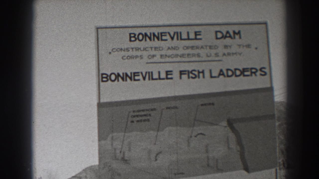 Close view of a Bonneville Dam fish ladders guide with diagram and dark film borders.