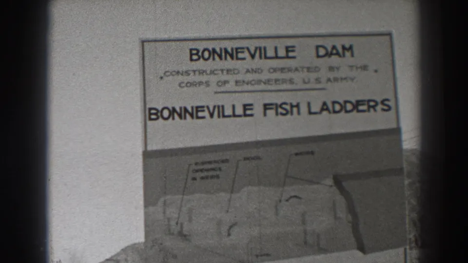 1938 Bonneville Dam guide page showing the Bonneville Fish Ladders title, Corps of Engineers credit, and a diagram below.