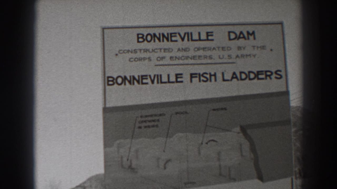 Bonneville Fish Ladders guide page seen in a slightly shifted close-up.