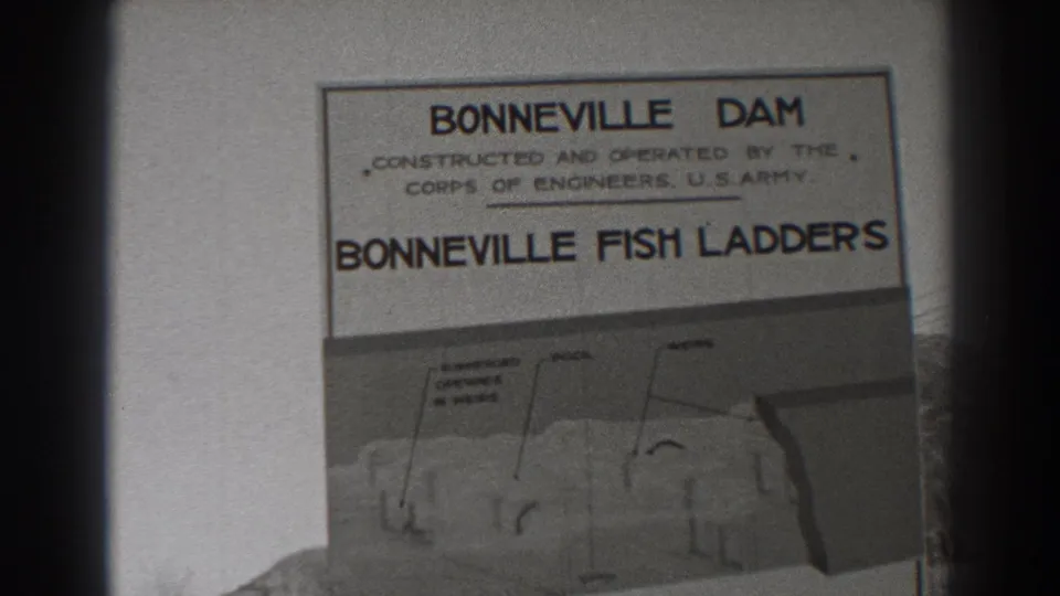 Close-up of the Bonneville Dam fish ladders guide, with the title text and diagram visible in grainy 8mm footage.
