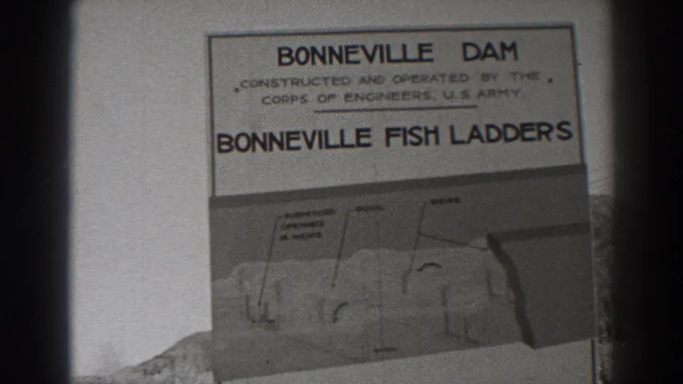 The guide page remains centered, showing Bonneville Fish Ladders text above a labeled structural diagram at Bonneville Dam.