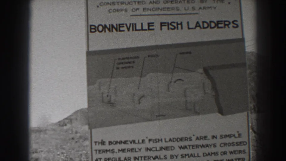 Black-and-white 8mm frame of the Bonneville Fish Ladders sign, with the diagram centered and text cropped at the bottom.
