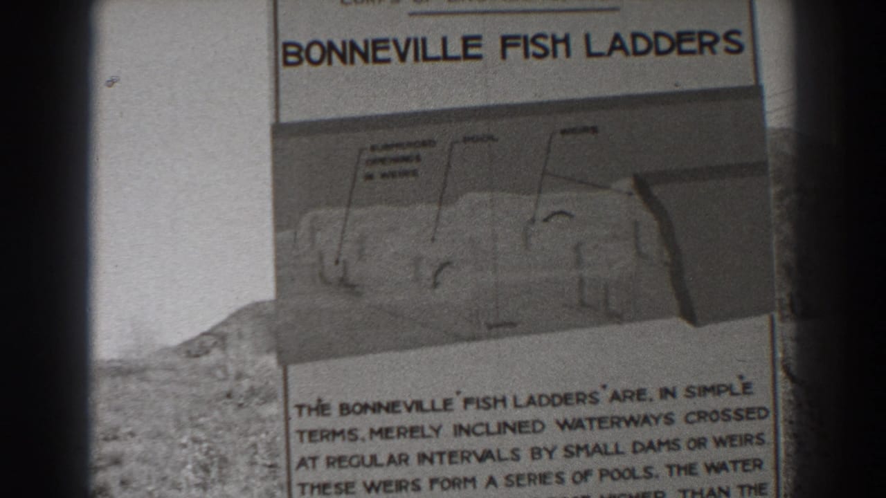 1938 Bonneville Dam visitor footage shows a sign titled Bonneville Fish Ladders with a diagram and partially readable explanatory text.