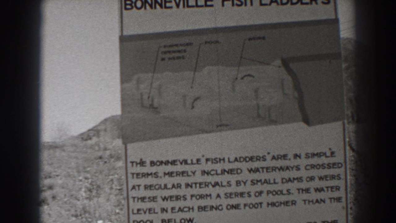 Bonneville Fish Ladders sign shown from a close angle with diagram and text.