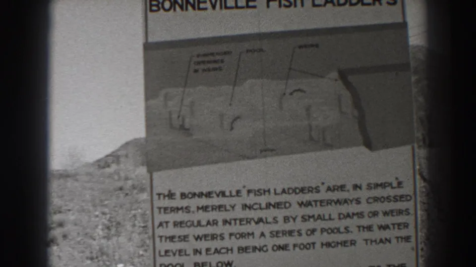 Black-and-white 8mm frame at Bonneville Dam shows the fish ladders sign, including labeled diagram areas and descriptive text below.