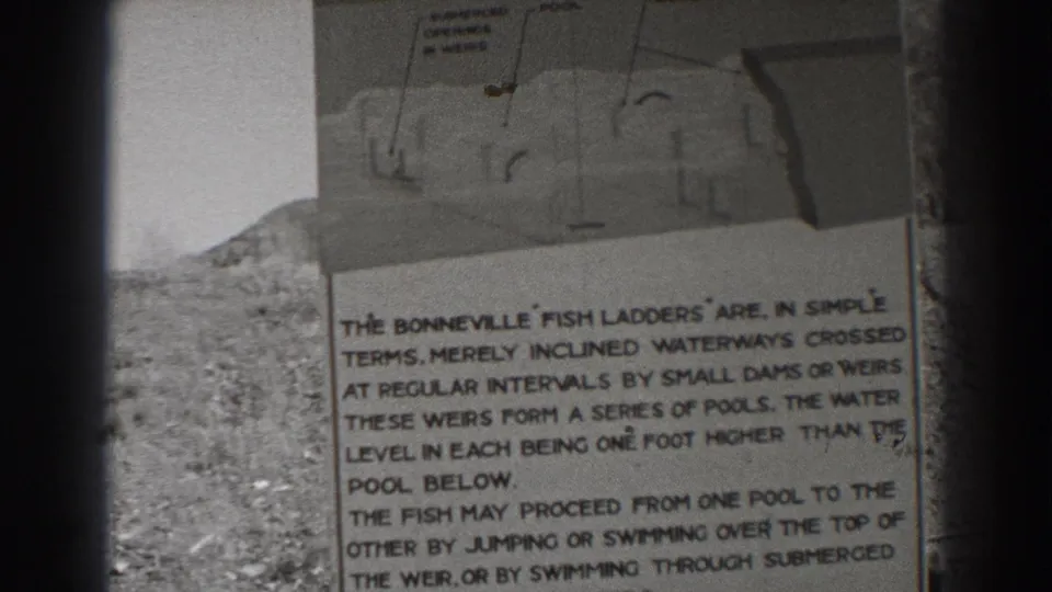 Final frame holds on the Bonneville Fish Ladders sign, with explanatory text about stepped pools and the diagram still visible above.